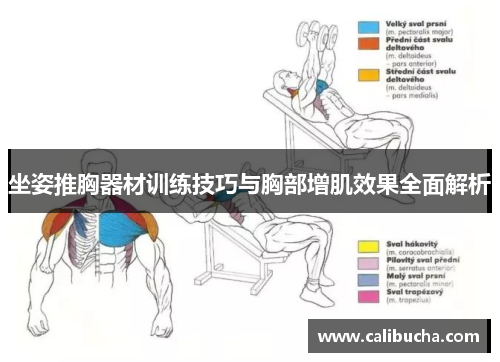 坐姿推胸器材训练技巧与胸部增肌效果全面解析