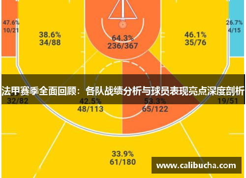 法甲赛季全面回顾：各队战绩分析与球员表现亮点深度剖析