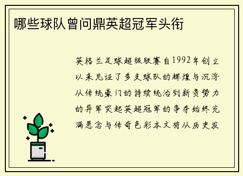 哪些球队曾问鼎英超冠军头衔