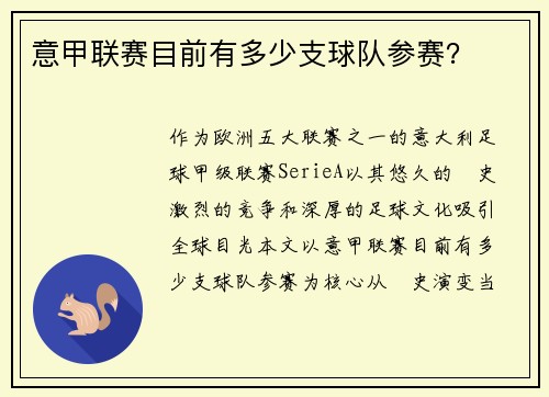 意甲联赛目前有多少支球队参赛？