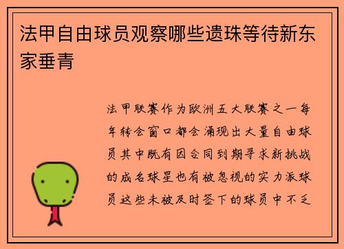法甲自由球员观察哪些遗珠等待新东家垂青