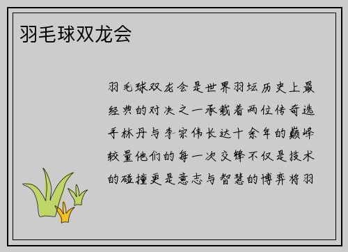 羽毛球双龙会